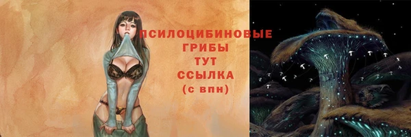 ALPHA PVP Богородск