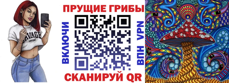 Галлюциногенные грибы мицелий МЕГА маркетплейс Дегтярск